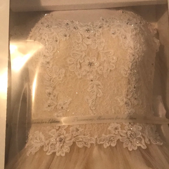 Wedding Dress - Picture 5 of 5